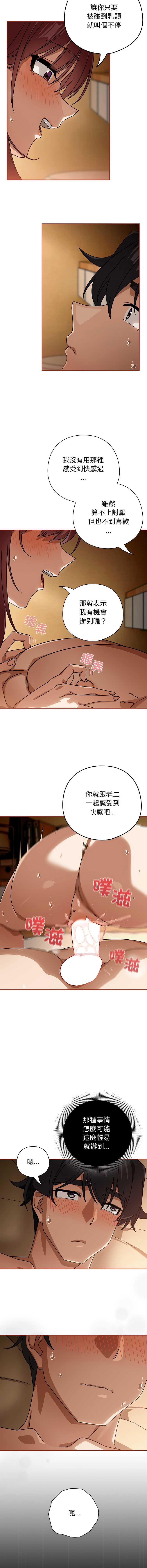 第 11 张