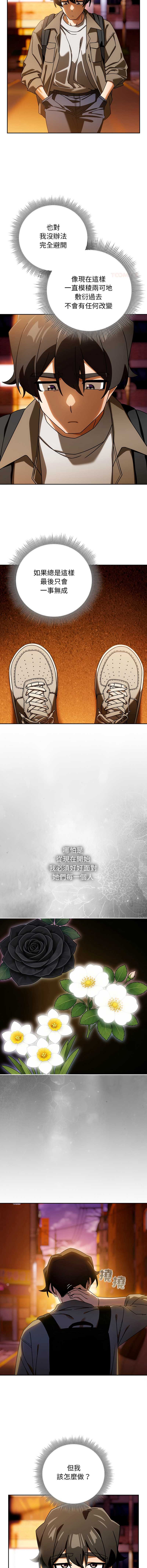 第 3 张