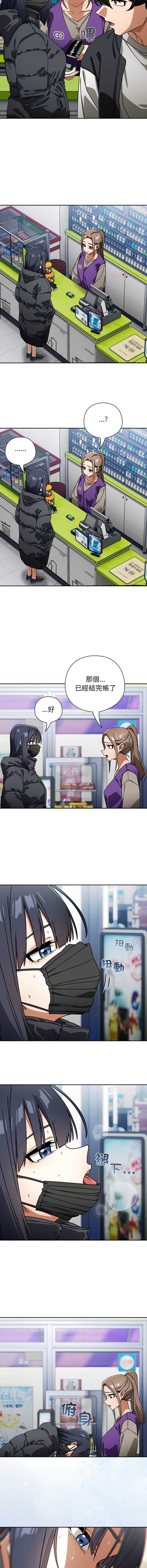 第 3 张