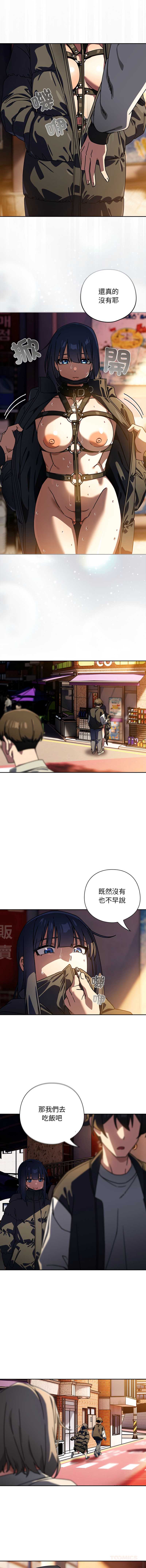 第 6 张