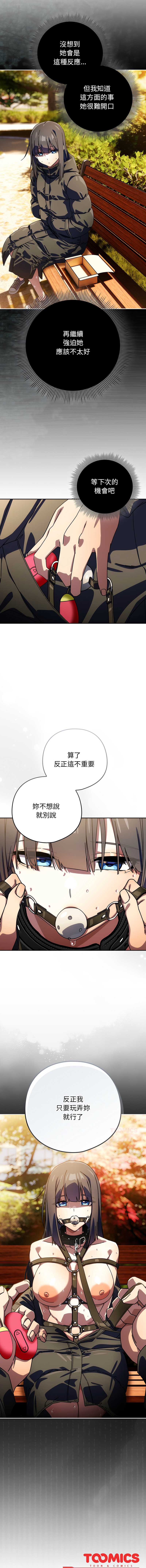 第 12 张
