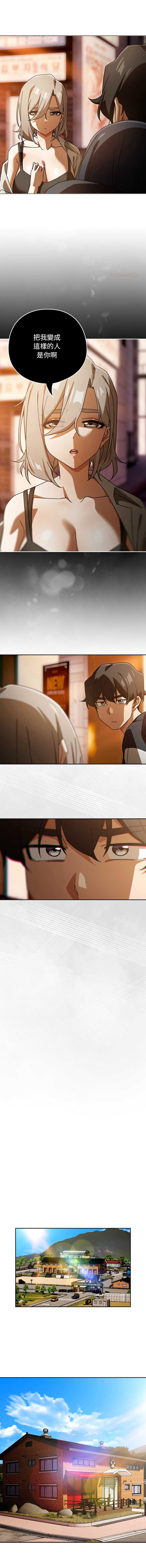 第 12 张