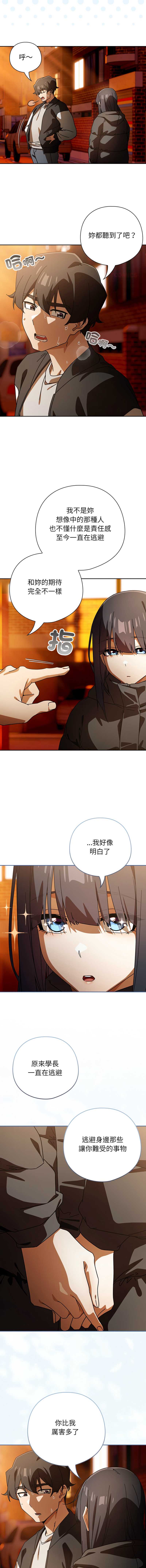 第 12 张