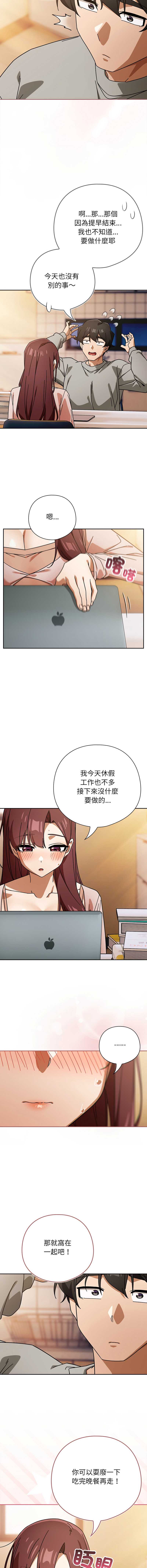 第 6 张