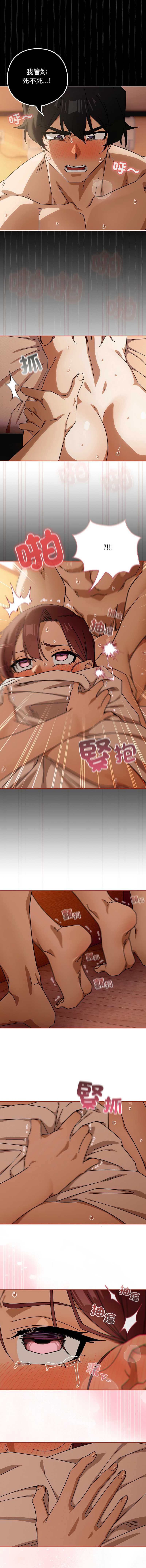 第 4 张