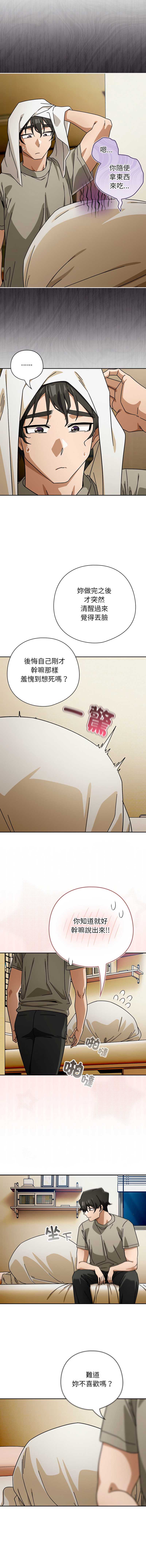 第 7 张