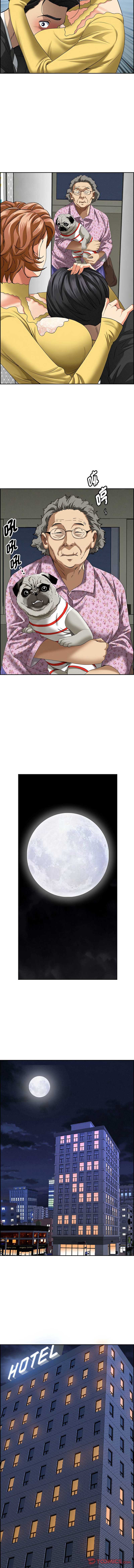 第 11 张