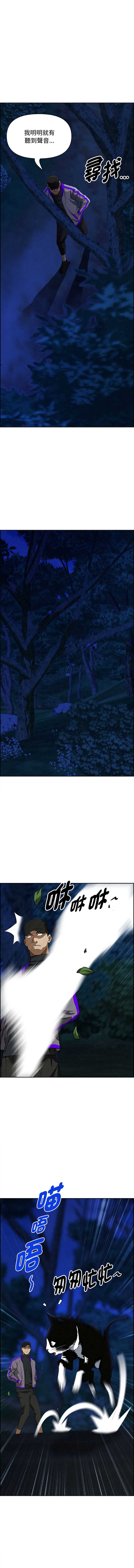 第 7 张