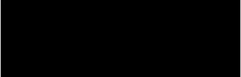 第 12 张