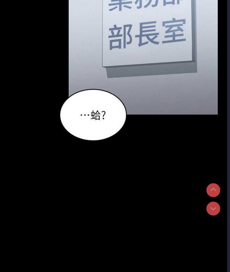 第 3 张