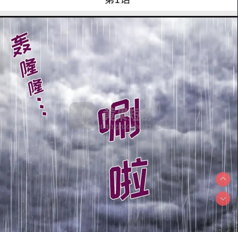 第 5 张