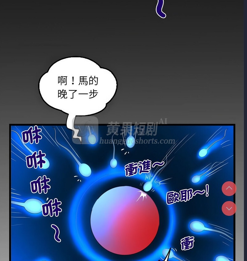 第 6 张