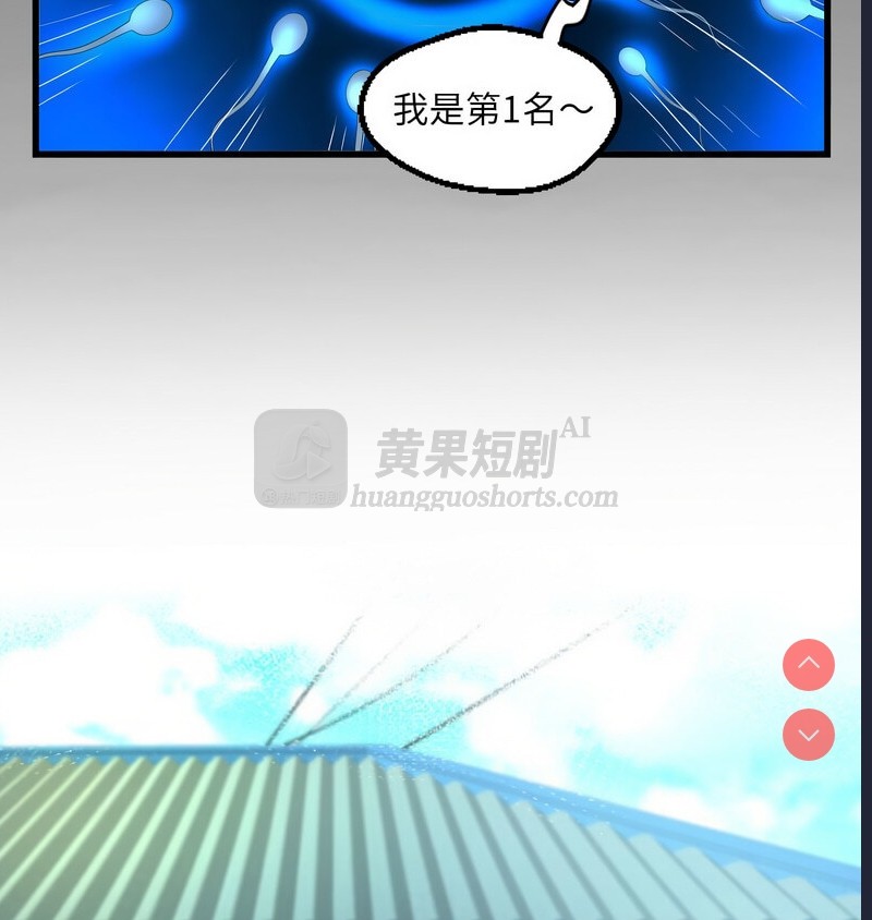 第 7 张