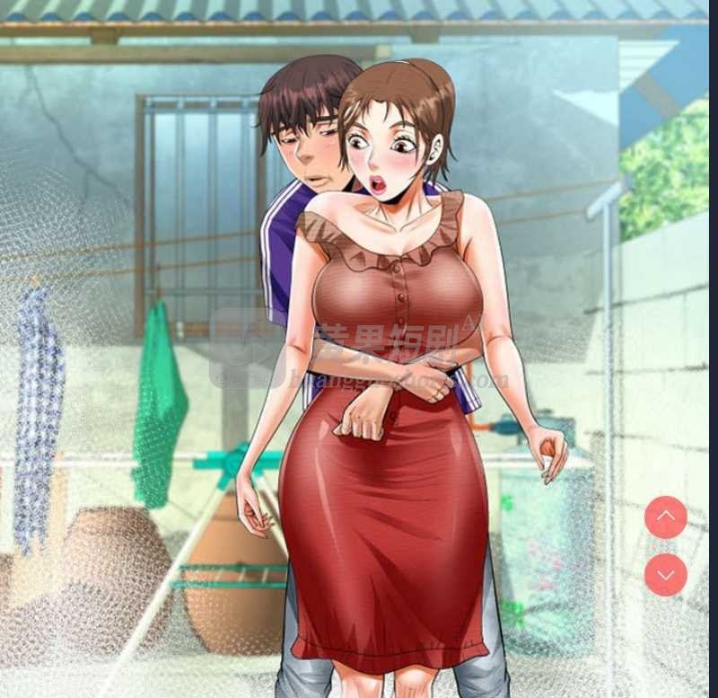 第 11 张