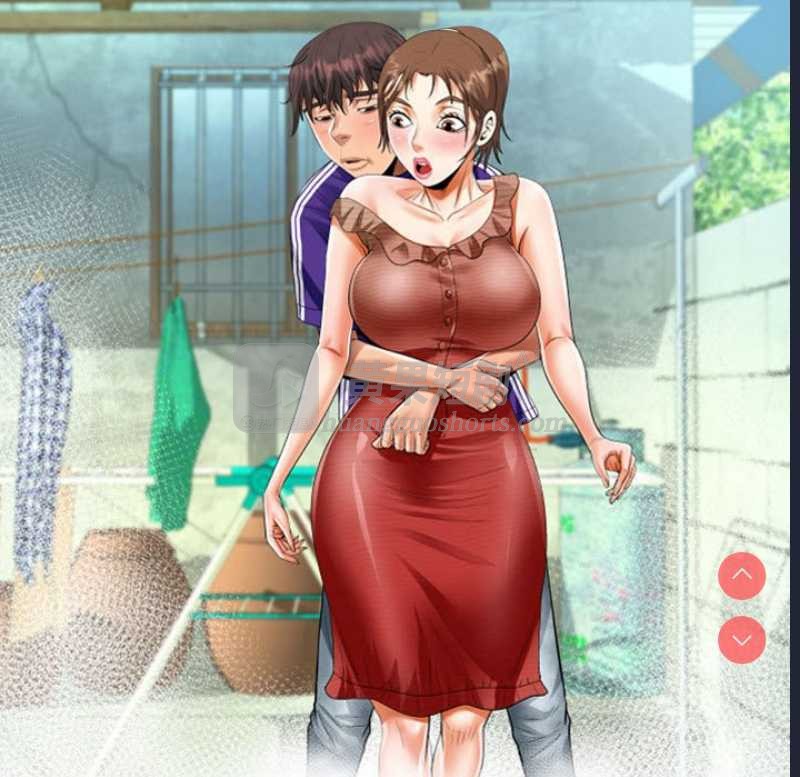 第 11 张