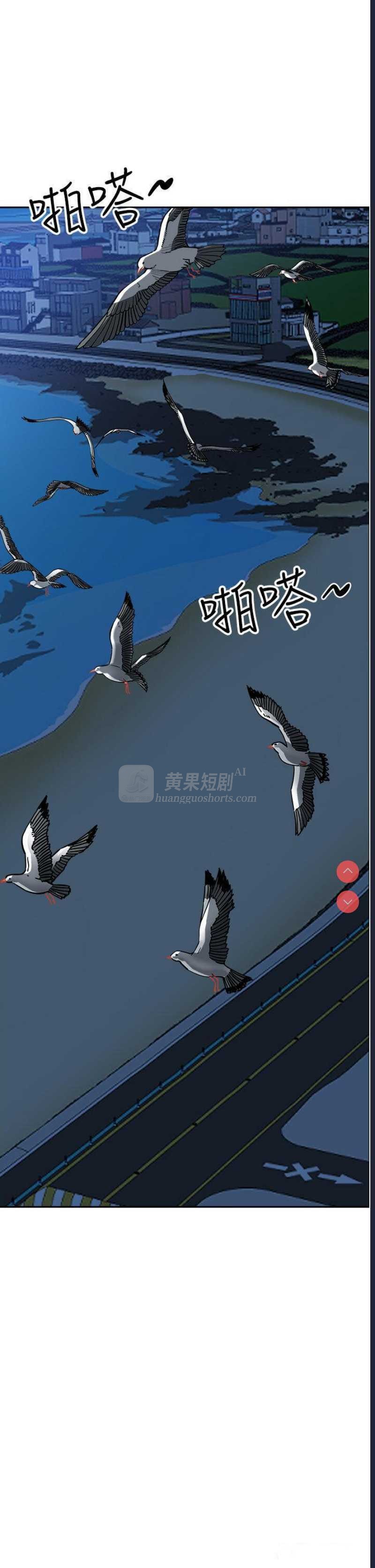 第 8 张