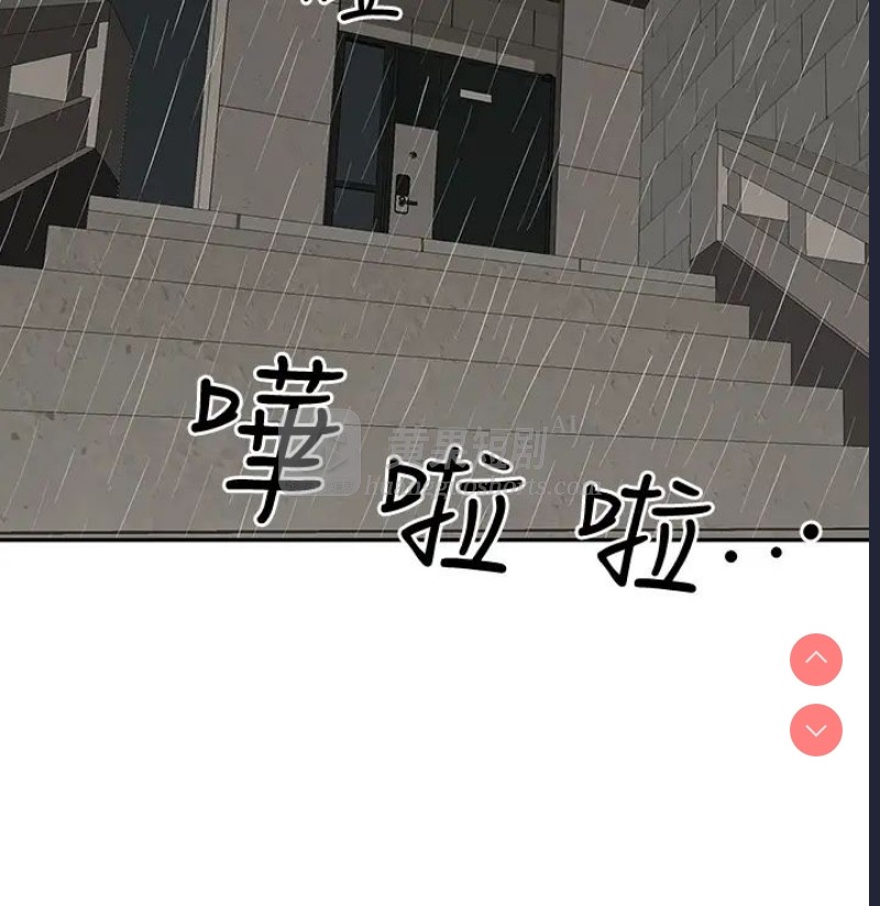 第 11 张
