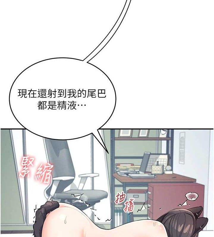 第 3 张