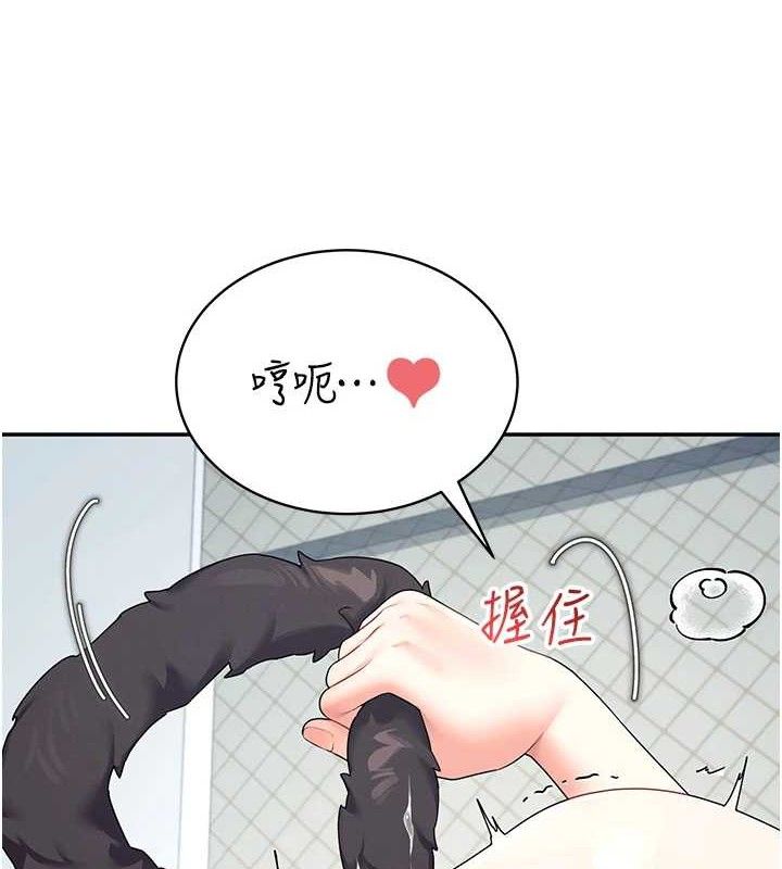 第 5 张