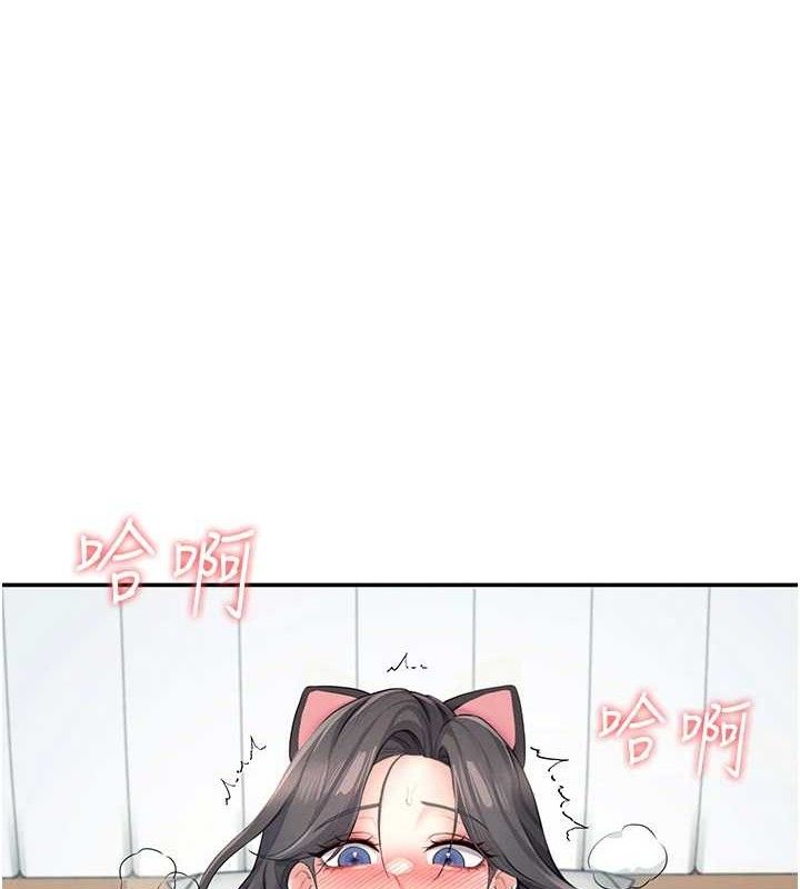 第 11 张