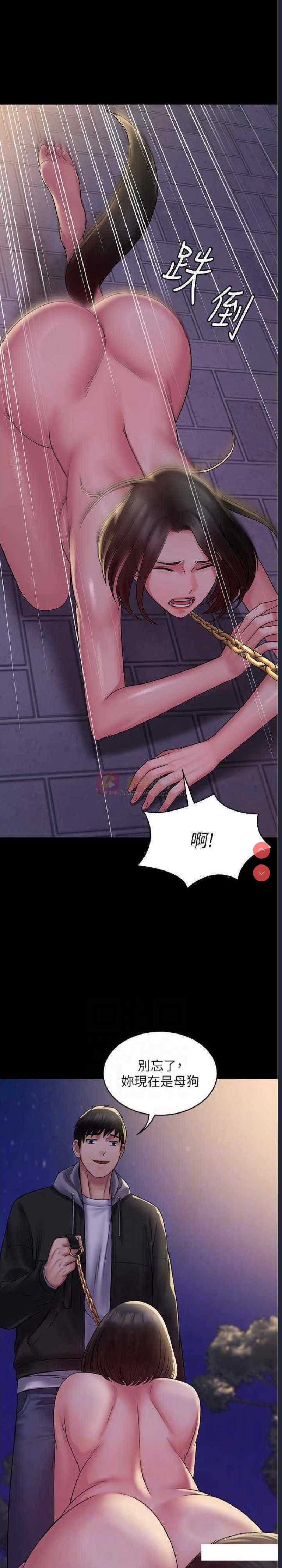 第 6 张