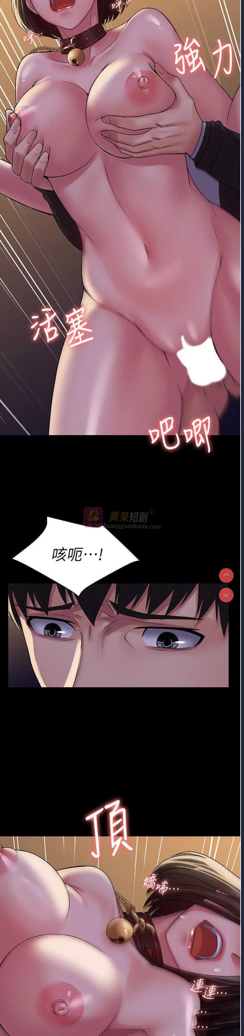第 12 张