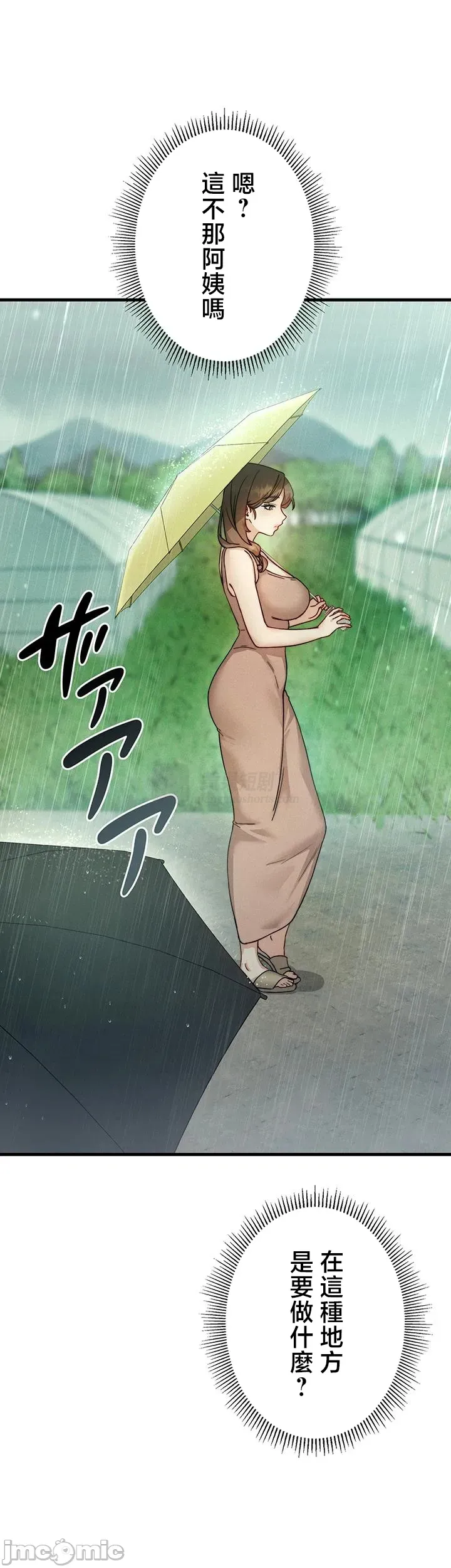 第 12 张